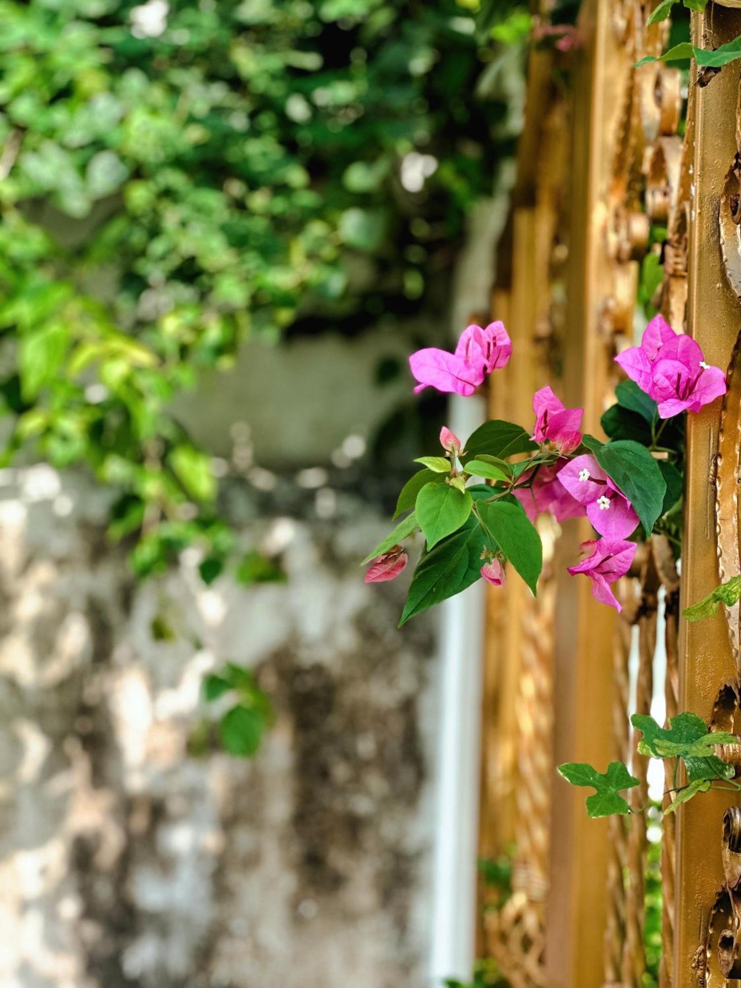 Blue Fish Villa Tan Thanh Exterior photo